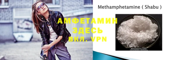мет Алексин