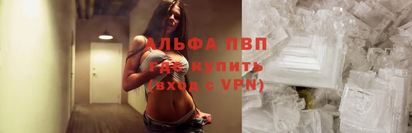 мет Алексин