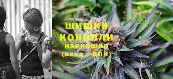 мет Алексин