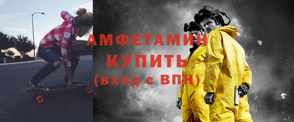 мет Алексин
